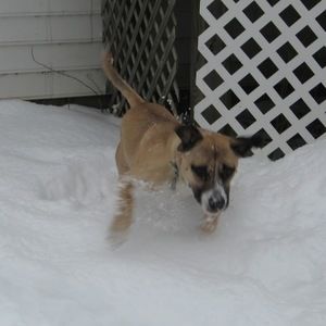 Meet your Posher, Angela